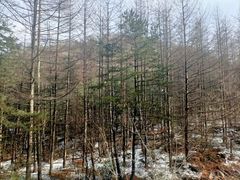 -沣峪口