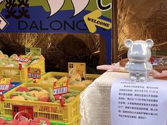 -大龙燚·旷野鲜火锅(广州首店)