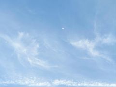 -苏州湾体育公园
