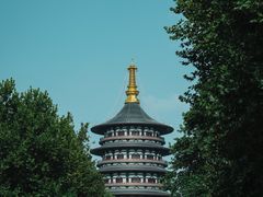 -洛阳市隋唐城遗址植物园