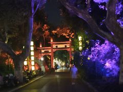 -杭州黄龙洞
