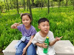 -毛遂公园