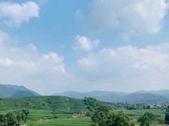 -午潮山国家森林公园