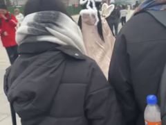 -神州牡丹园