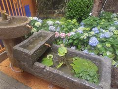 -瓦房店活羊大串(锦绣店)