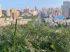 -板樟山森林公园