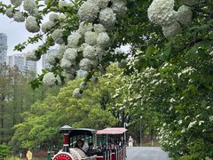 -白塘生态植物园