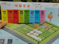 -前小桔亲子创意农场·草莓采摘·露营烧烤