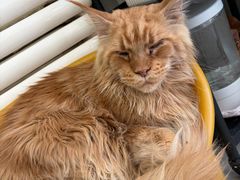 -平行世界·猫咖(首经贸店)