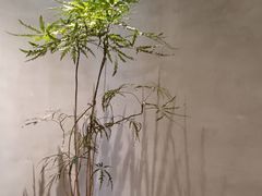 -二酉书店TOYOU BOOKS