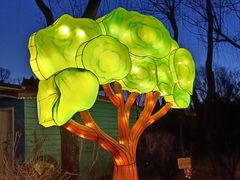 -南宫五洲植物乐园