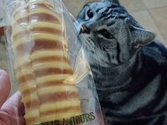 奶油毛毛虫-多乐之日(西直门店)