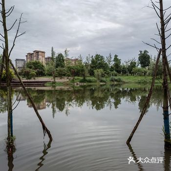 雨后的空气太好了，心情舒畅