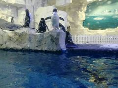 -华夏文旅海洋公园