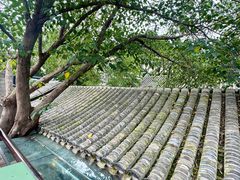-糖房咖啡(南锣鼓巷店)