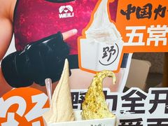 -野人先生Gelato(上海长宁龙之梦店)