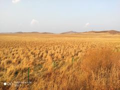 -塞罕坝国家级自然保护区