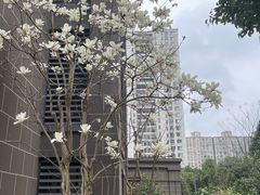 -钟书阁(群光广场店)