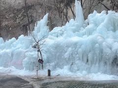 -陕西省红河谷森林公园