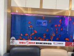 -牙博士口腔品牌连锁(杨浦店)