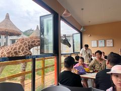 -西霞口神雕山野生动物世界