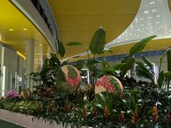 -上海浦东国际机场-T2航站楼