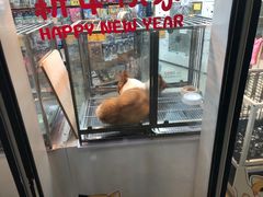 -1013 PET SHOP 宠物商店(近铁城市广场店)