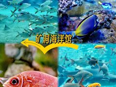 -长鹿旅游休博园