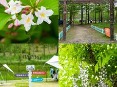 -上海长兴岛郊野公园