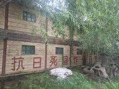 景点-白洋淀景区