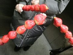 -伟大航路烤鱼(迅驰广场店)