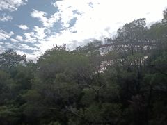 -金鸡山公园