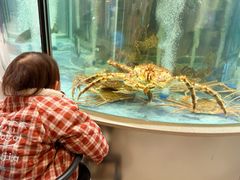 -海底捞大排档火锅(打浦路店)