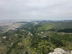 -大芦花风景区