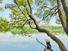 -东湖落雁景区