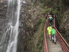 -旗山国家森林公园