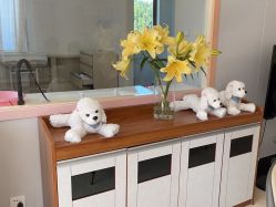 -北京俪婴妇产医院(朝阳大悦城店)