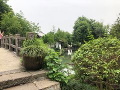 -西溪国家湿地公园
