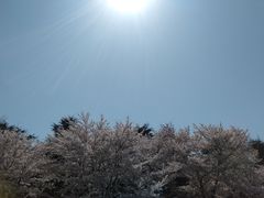 -丁丁猫重庆小面(徐州路店)