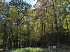 -阳台山自然风景区