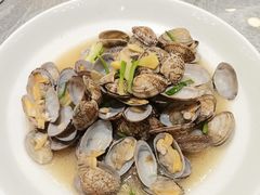 -老绍兴养和饭店(向阳不夜城店)