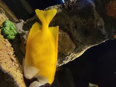 -西安曲江海洋极地公园
