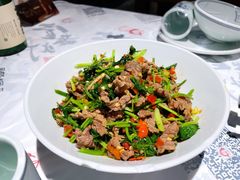 香菜炒牛肉-壹盏灯(蚂蚁工房店)