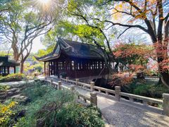 -上海醉白池公园