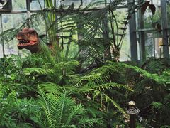 -国家植物园南园