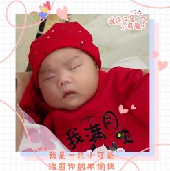 点击看大图 -安琪朵朵独栋花园月子中心