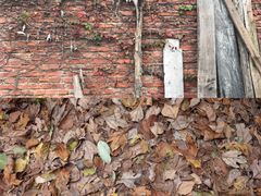 -三江森林温泉度假区