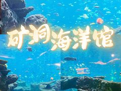 -长鹿旅游休博园
