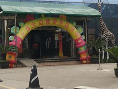 -上海大自然野生昆虫馆(东方明珠·爬宠昆虫探索中心)
