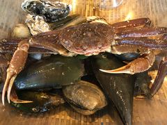 -日进一片海.生腌海鲜火锅.宵夜烧烤(三里屯总店)